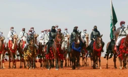 Des femmes en niqab noir devancent à cheval des hommes en robe blanche à dos de chameaux lors de festivités dans le cadre d'un concours de beauté pour camélidés réservé aux femmes dans le désert de Rumah, le 8 janvier 2022