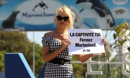 L'actrice américano-canadienne Pamela Anderson, le 22 août 2017 devant le Marineland d'Antibes
