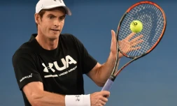 Andy Murray, le 13 janvier 2017 à Melbourne lors d'une séance d'entraînement pour l'Open d'Australie