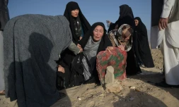 Une Afghane sur la tombe de son fils tué dans un attentat-suicide, le 25 juillet 2016 à Kaboul