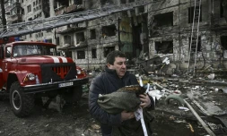 Un homme porte son chat mort devant un immeube d'habitation détruit prÚs de Kiev, le 14 mars 2022