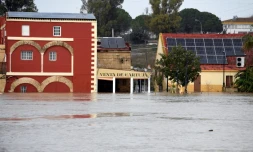 Une zone inondée dans le village de Las Pachecas à Jerez, lors de la dépression Leonardo, le 5 février 2026 dans le sud de l'Espagne