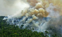 Une vue aĂ©rienne d'un feu de forĂȘt en Amazonie brĂ©silienne au sud de Novo Progresso au BrĂ©sil, le aoĂ»t 2020