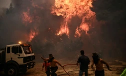 Des pompiers et des bĂ©nĂ©voles luttent contre un incendie de forĂȘt Ă Chasia, Ă la pĂ©riphĂ©rie d'AthĂšnes, le 22 aoĂ»t 2023 en GrĂšce