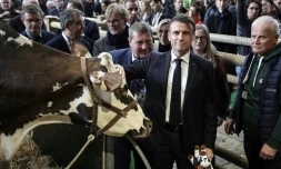Le président français Emmanuel Macron auprÚs de la vache normande "Oreillette" et de son éleveur François Foucault (D), lors de la visite du 60e Salon international de l'agriculture (SIA) à Paris, le jour de son inauguration, le 24 février 2024.