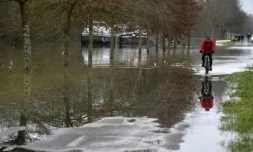 Un homme fait du vélo sur une route inondée le 29 janvier 2018 le long des rives inondées de la Saône entre Tournus et Macon