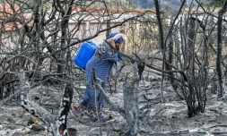 Une femme portant un jerrycan marche entre des arbres calcinés par un incendie, prÚs de Melloula, dans le nord-ouest de la Tunisie, le 26 juillet 2023