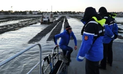 Des gendarmes en patrouille pour suveiller les bassins d'huîtres, le 30 novembre 2017 à La Tremblade, en Charente-Maritime