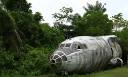 Près d'Abidjan, entre forêt verte et lagune, Aziz Alibhai présente son étonnante collection d'épaves d'avions qu'il rêve de transformer en une attraction touristique atypique, le 15 avril 2022 à Songon Dagbe dans la région de Jacqueville, en Côte d'Ivoire