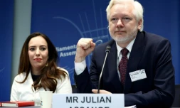 Le fondateur de Wikileaks Julian Assange et sa femme Stella arrivent au Conseil de l'Europe pour témoigner devant une commission de l'institution paneuropéenne, les 1er octobre 2024 à Strasbourg