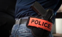 Police: revolver