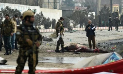 Un cheval a aussi été victime d'un attentat commis à KAboul le 2 mars 2018 qui a fait au moins un mport et quatre belssés 