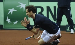 Le Britannique Andy Murray, ému, après sa victoire sur le Belge David Goffin en finale de la Coupe Davis, le 29 novembre 2015 à Gand