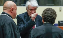 L'ex-chef politique des Serbes de Bosnie Radovan Karadzic (c) comparaĂźt devant la justice internationale Ă La Haye, le 23 avril 2018