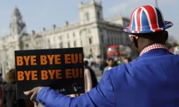 Un militant pro-Brexit manifeste devant le Parlement à Londres, le 28 mars 2019