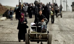 Des habitants de Mossoul fuient les combats entre les forces irakiennes et les jihadistes de l'EI, le 14 mars 2017