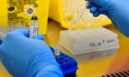 Les tests Covid ne sont plus gratuits en France 