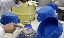 Des échantillons de sperme conservés dans des cuves d'azote liquide au Centre d'étude et de conservation des oeufs et du sperme (CECOS) à l'hÎpital Femme-MÚre-Enfant de Lyon le 25 Mars 2010