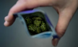 De la marijuana "gaz pourpre" à usage récréatif vendue en sachet à titre expérimental dans une pharmacie de Bâle, en Suisse, le 7 mars 2023