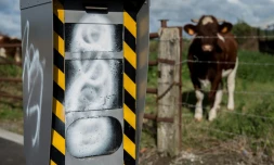 Un radar fixe, dégradé à la peinture, le 3 octobre 2016 à Strazeele (Nord)