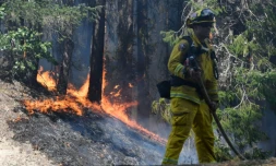 Des pompiers luttent contre l'incendie "Carr", à Douglas City (Californie) le 30 juillet 2018