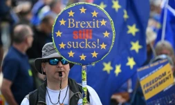 Manifestation en faveur du retour au Royaume-Uni au sein de l'Union européenne, le 23 septembre 2023 à Londres