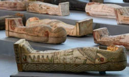Des sarcophages en bois découverts à Saqqara, dévoilés lors d'une cérémonie le 14 novembre 2020
