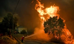 Incendie près du village portugais de Pucariça, le 10 août 2017