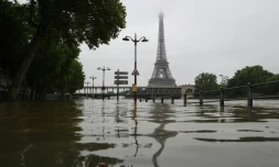 Les berges de la Seine inondées, le 2 juin 2016 à Paris