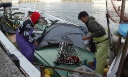 Des débris, qui feraient partie de l'épave d'un appareil à rotors basculants CV-22B Osprey de l'armée américaine, sont ramenés à terre dans un port de Yakushima-cho, dans la préfecture de Kagoshima, le 30 novembre 2023