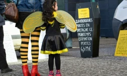 Nature empoisonnée, sols bétonnés, hécatombe d'abeilles ou d'oiseaux... Nicolas Hulot présente vendredi des pistes pour tenter de préserver le monde du vivant et mobiliser autour d'une biodiversité en danger qui mérite un "sursaut d'indignation"