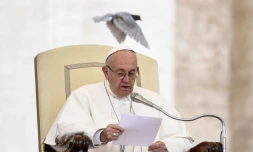 Le pape François lors d'un discours sur la place Saint-Pierre le 15 novembre 2017 au Vatican