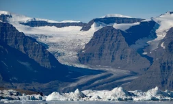Un glacier partiellement fondu à Scoresby Fjord, le 13 août 2023 au Groenland