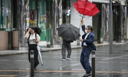 Vent et pluie à Fukuoka, dans le sud du Japon, avant le passage du typhon Shanshan le 29 août 2024