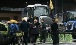 Des agriculteurs de la coordination rurale durant des manifestations contre l'accord UE-Mercosur, à Pessac le 19 novembre 2024