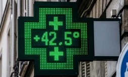 Le thermomètre d'une pharmacie indique 42,5°C, le 25 juillet 2019 lors d'un épisode de canicule à Paris