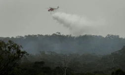 Un hélicoptère bombardier d'eau déverse son chargement sur un incendie, le 30 décembre 2019 dans une banlieue de Melbourne