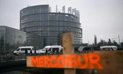 Le mot "Mercosur" écrit sur une croix en bois lors de manifestations d'agriculteurs devant le Parlement européen à Strasbourg, le 20 janvier 2026