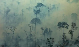 Photo aĂ©rienne diffusĂ©e par Greenpeace montrant des feux de forĂȘt au BrĂ©sil dans l'Etat de Para, le 23 aoĂ»t 2019