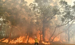 Un pompier luttant contre les incendies au nord de Sydney, le 10 décembre 2019