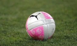 Les calendriers de la saison prochaine en L1 et L2 sont sortis avec notamment Monaco-Paris SG, le week-end du 25 novembre 2017, et Paris SG-Monaco, le week-end du 14 avril 2018