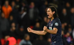 Le buteur du PSG Edinson Cavani, le 26 avril 2017 au Parc des Princes