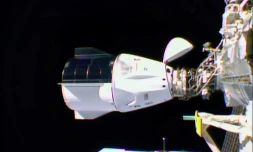 Une image de la NASA montre la capsule Dragon de SpaceX arrimée à la Station spatiale internationale le 17 novembre 2020