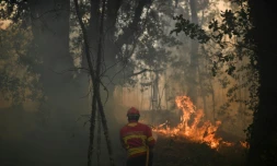 Un pompier combat le feu près du village de Torgal au Portugal, le 18 juin 2017