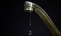 Ploc, ploc, ploc... L'énigme qui se cache derrière le bruit horripilant du robinet d'eau qui goutte vient d'être dissipée par des chercheurs, qui proposent un moyen simple pour y remédier : le liquide vaisselle