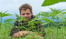 Marien Sablery, agriculteur chanvrier bio, dans un de ses champs à Evaux-les-Bains dans la Creuse, le 31 mai 2018