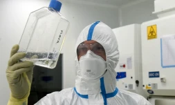 Un techncien examine un flacon contenant un liquide infecté par le virus du Sars-Cov-2 dans le laboratoire de la société de biotechnologie Valneva, le 30 juillet 2020 à Saint-Herblain, près de Nantes