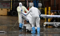 Du personnel médical transportent un mort du coronavirus dans un camion réfrigéré au Brooklyn Hospital Center, le 9 avril 2020
