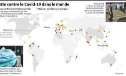 La lutte contre le Covid-19 dans le monde