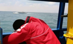 Un migrant à bord du bateau "Sarost 5" au large du port tunisien de Zarzis le 1er août 2018
